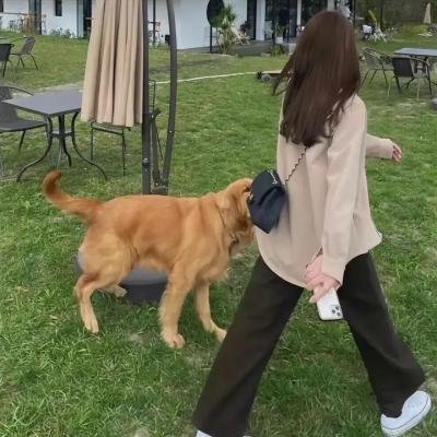 小鬼当家5